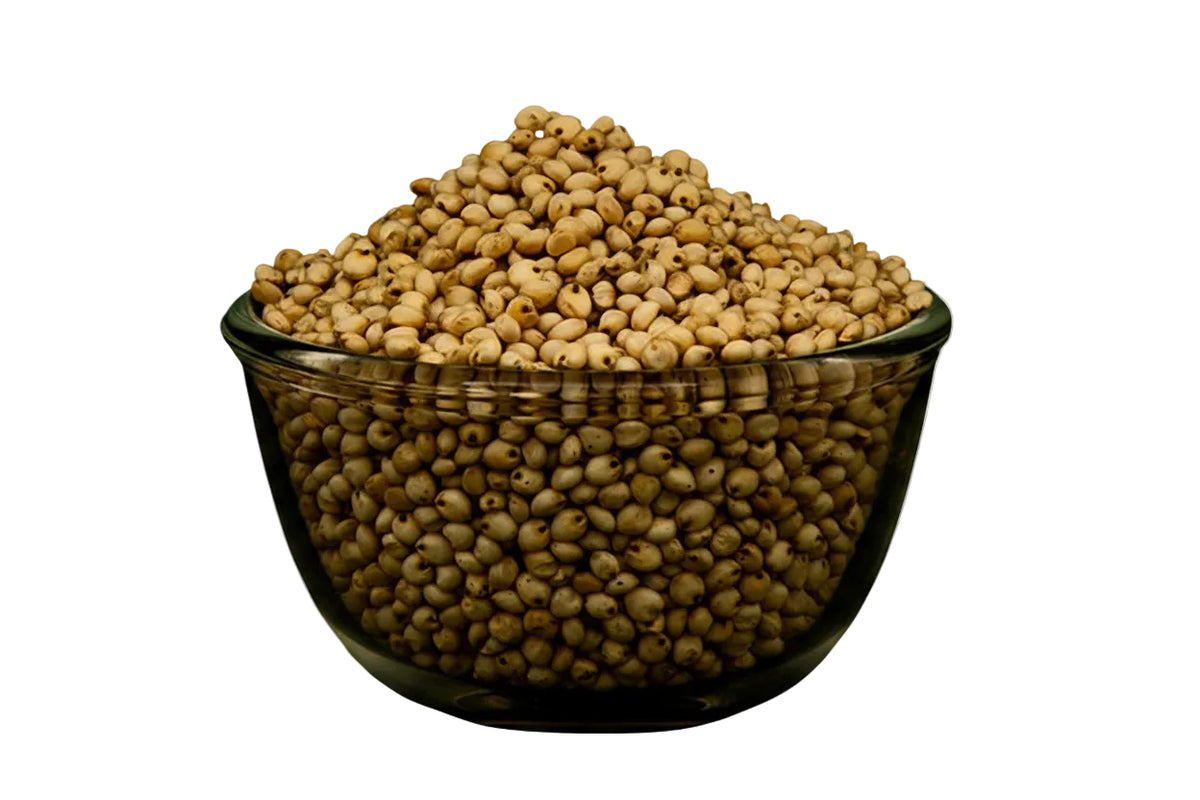 White Cholam Sorghum