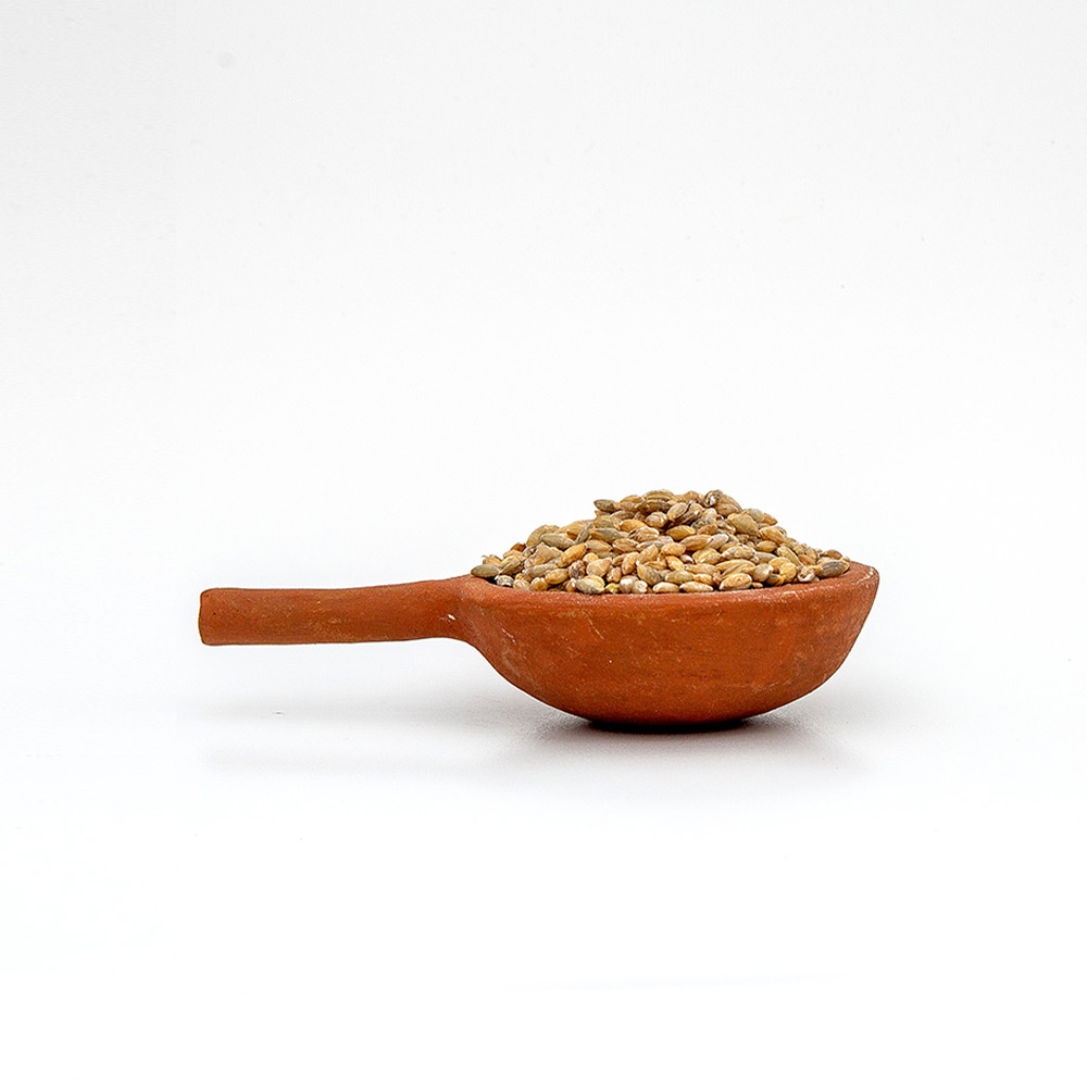 Barley Whole_image