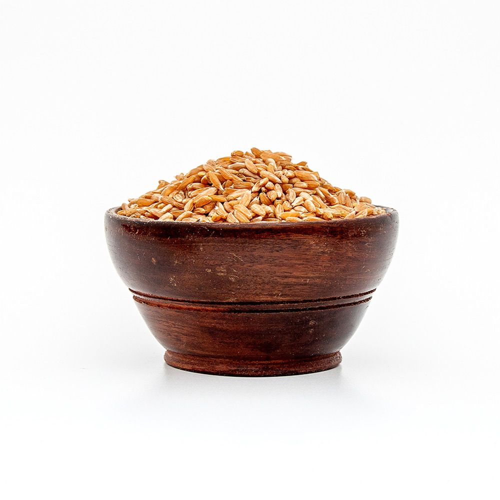 Emmer Wheat (Samba)_image