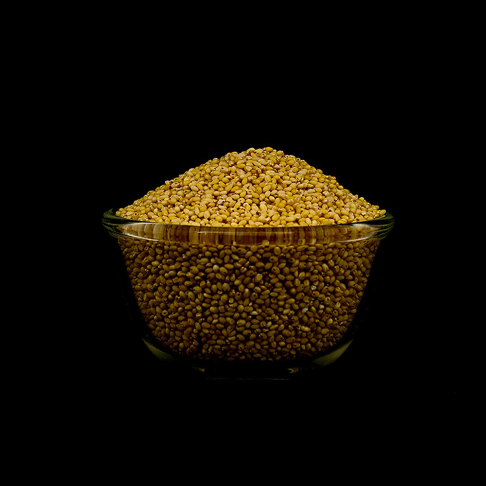 Proso Millet / Panivaragu
