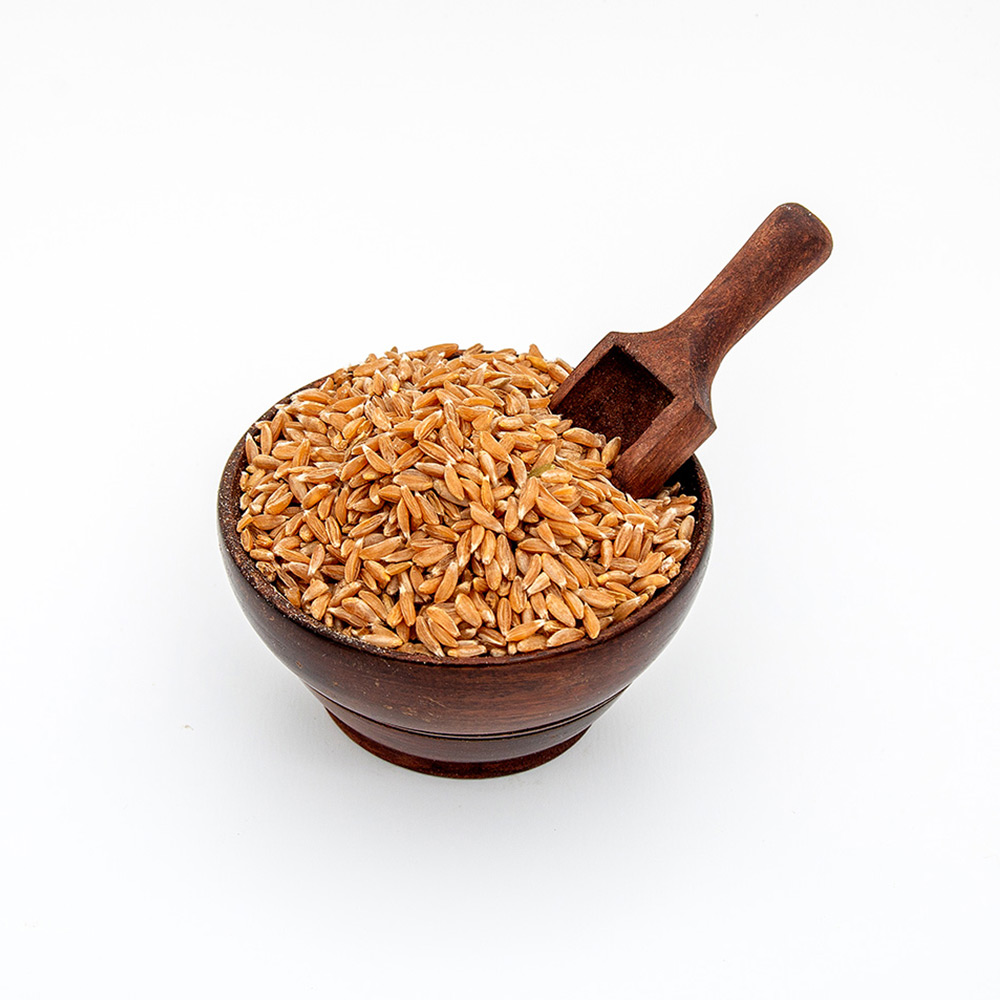 Emmer Wheat (Samba)_image