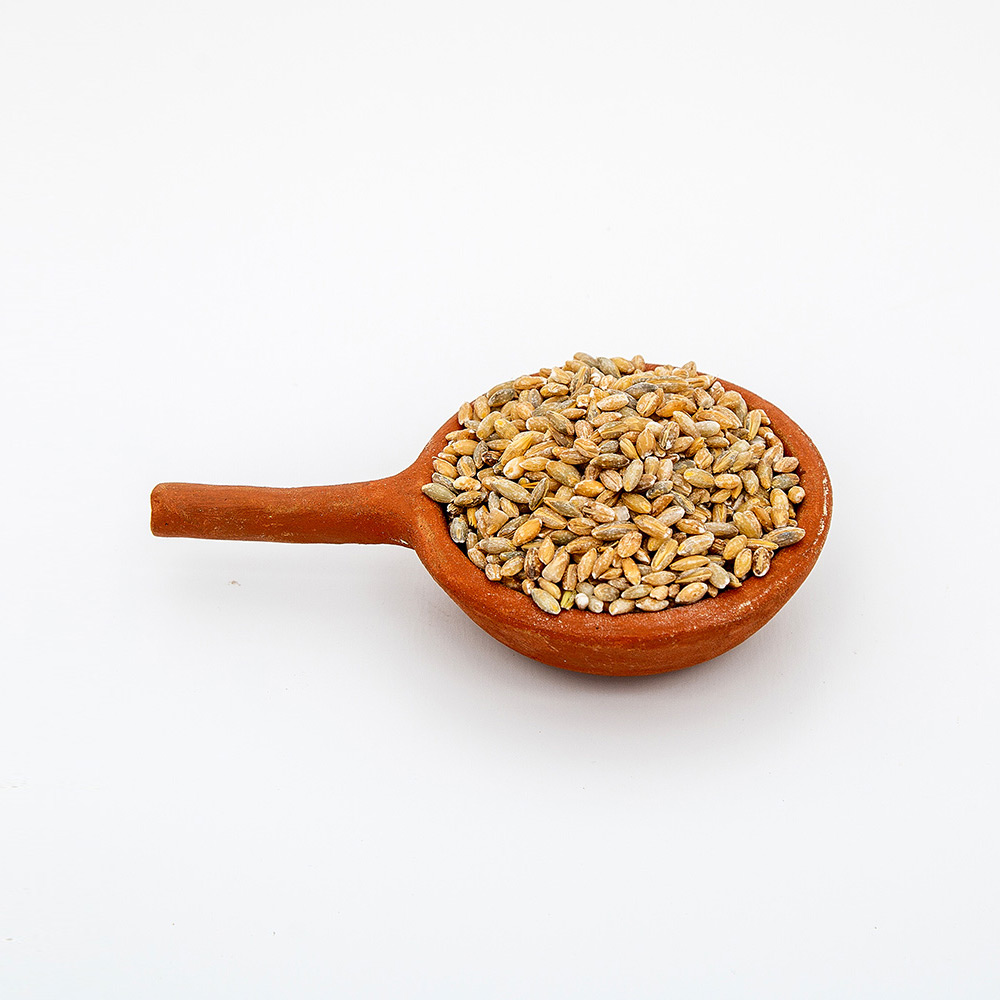 Barley Whole_image