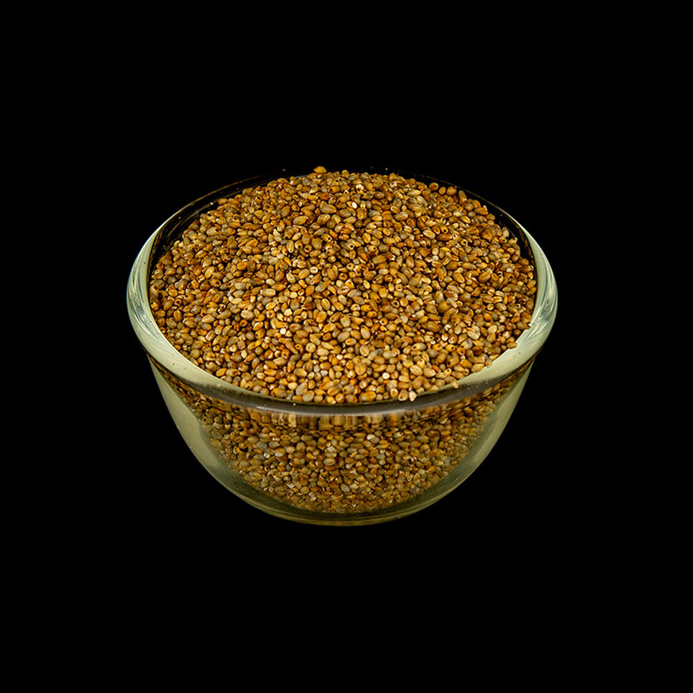 Naatu Kambu / Pearl Millet