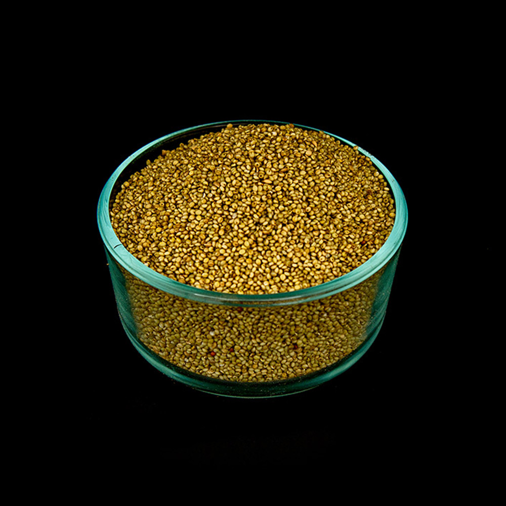 Browntop Millet / Kulasaamai - Raw