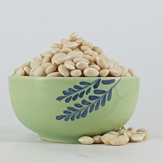 White Mochai Lima Bean