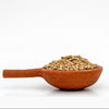 Barley