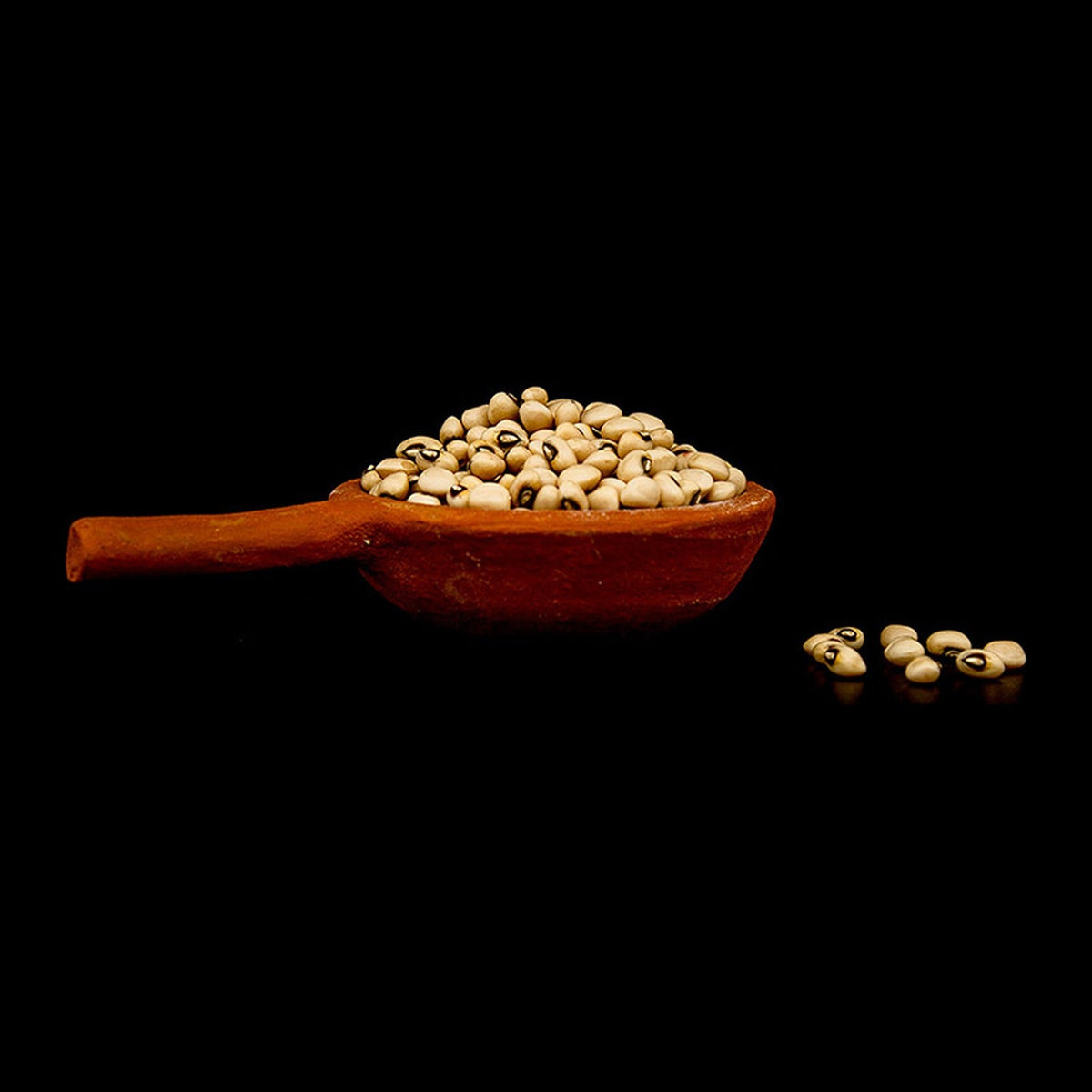 White Cowpea Lobia Thattai Payiru